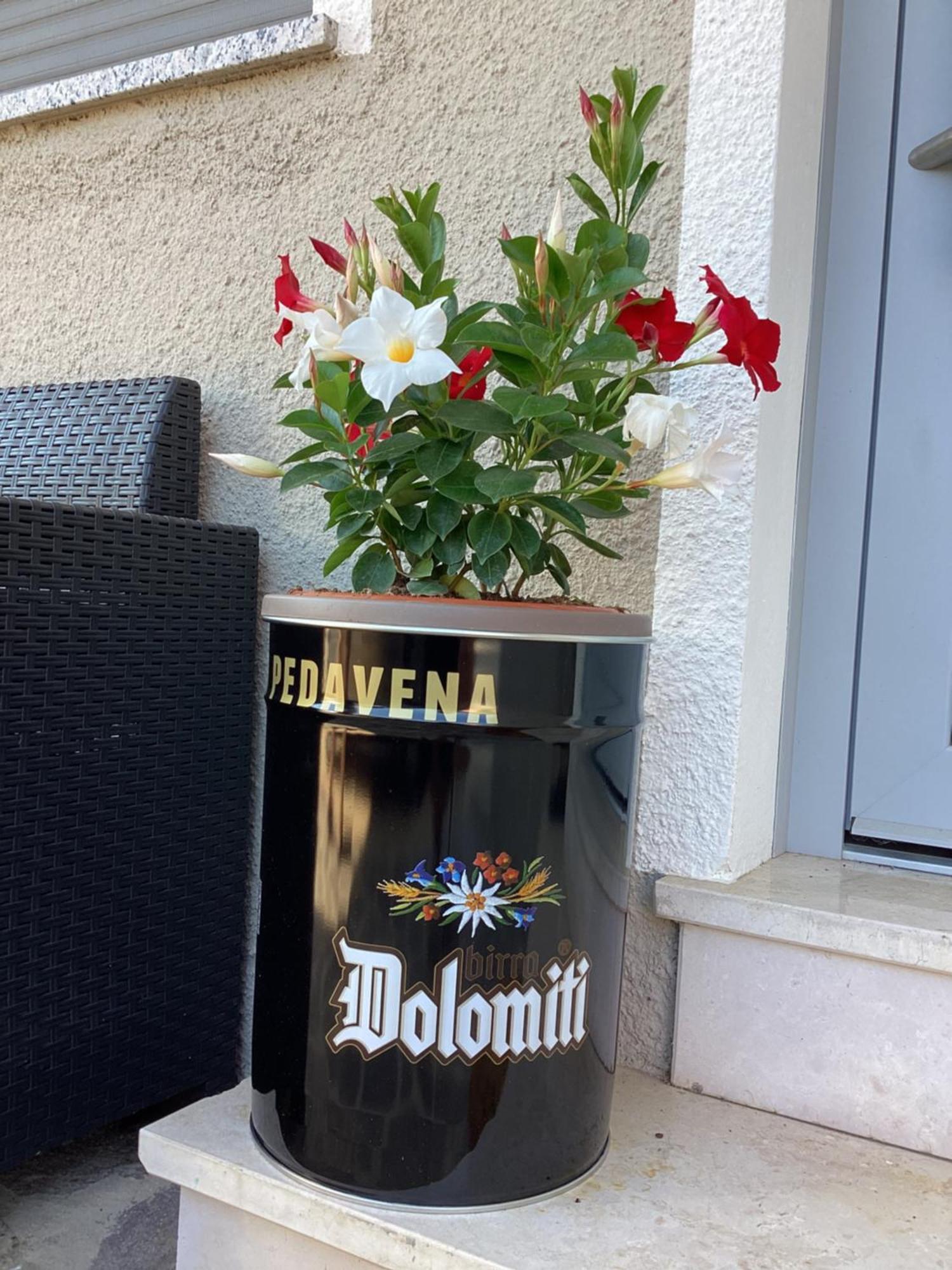 La Stella Delle Dolomiti Appartement Pedavena Buitenkant foto